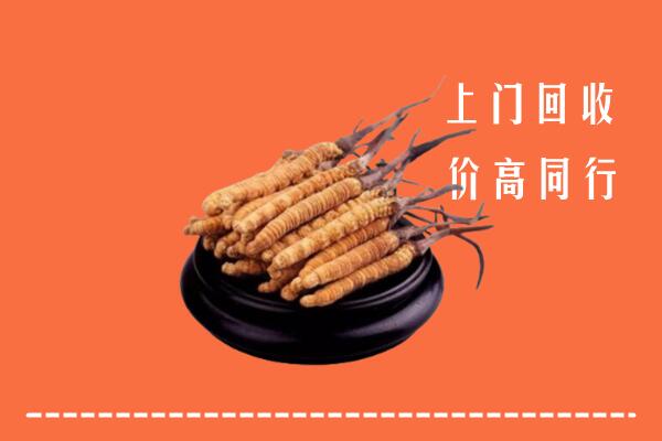 东宝区回收散虫草