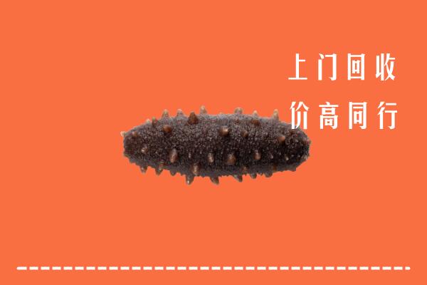 东宝区回收海参