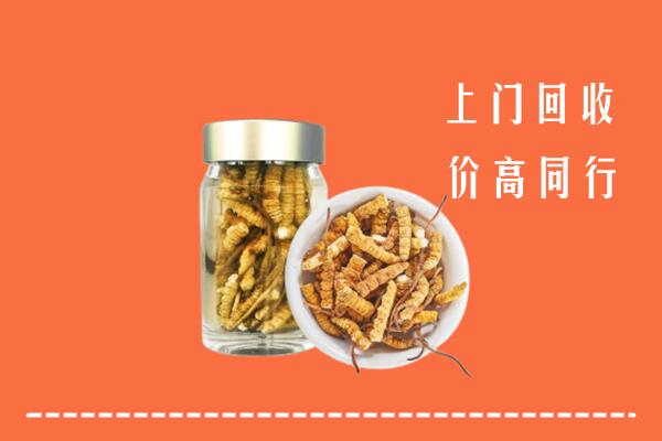 东宝区回收冬虫夏草