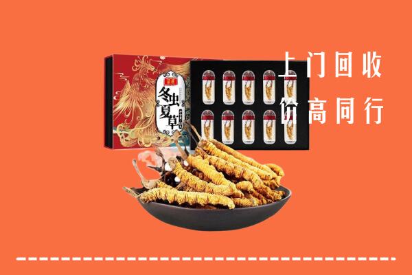 东宝区回收虫草